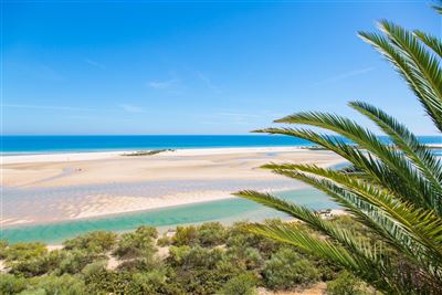 Algarve_Ria Formosa